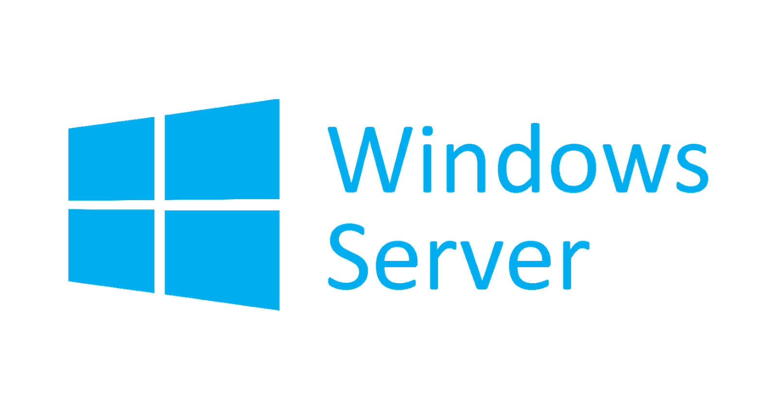 single processor vs dual processor server